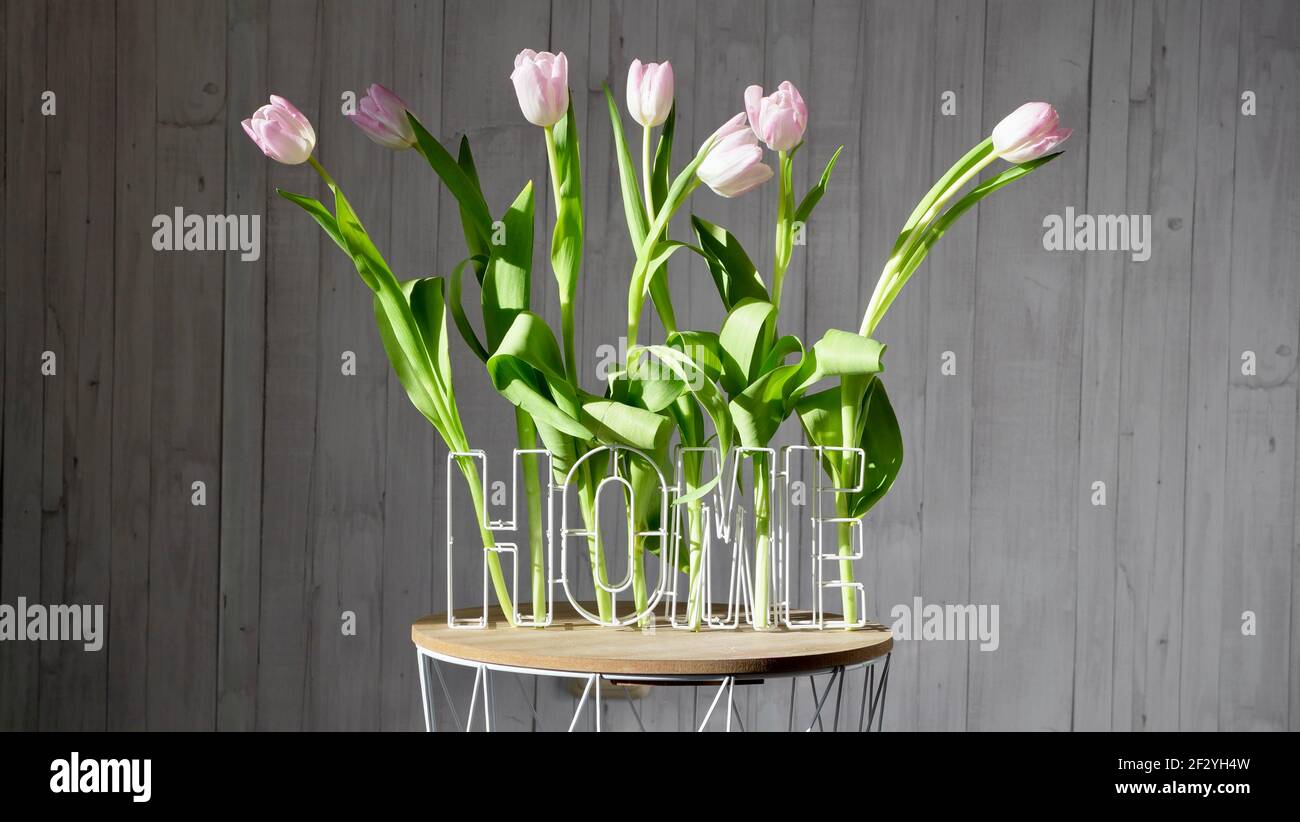 Fleurs roses tulipes hollandaises sur table basse à la maison près sur fond de bois blanc dans un cadre international ensoleillé journée des femmes ou fête des mères Banque D'Images