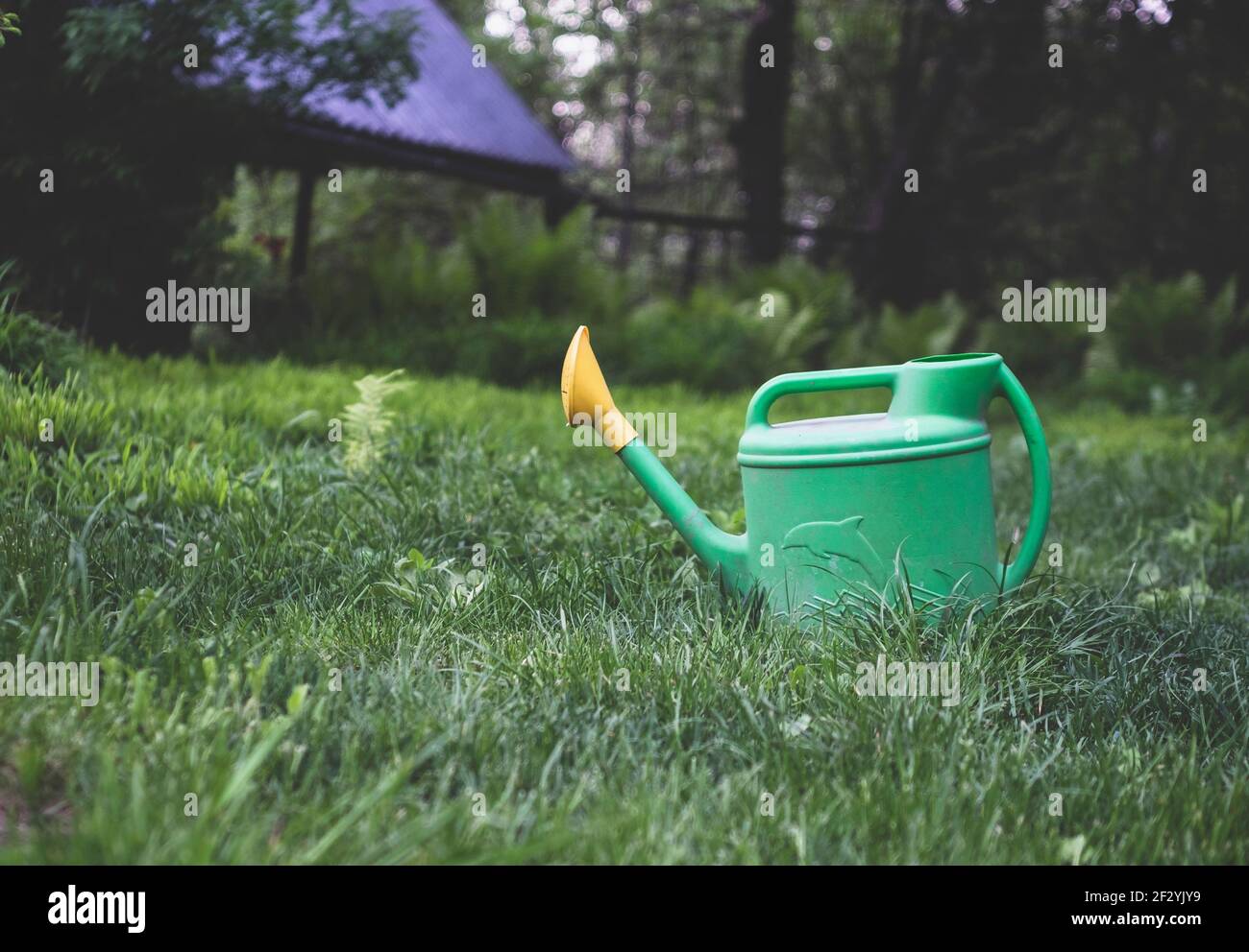 Arrosoir vert sur l'herbe dans le jardin Banque D'Images