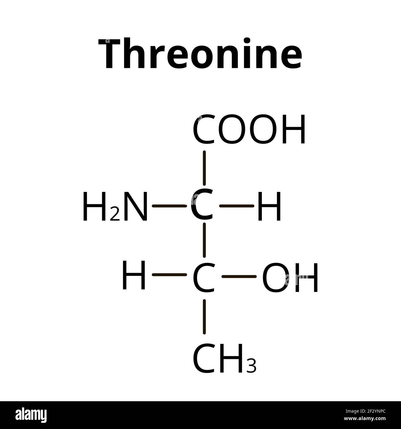 La thréonine est un acide aminé. Formule moléculaire chimique de l