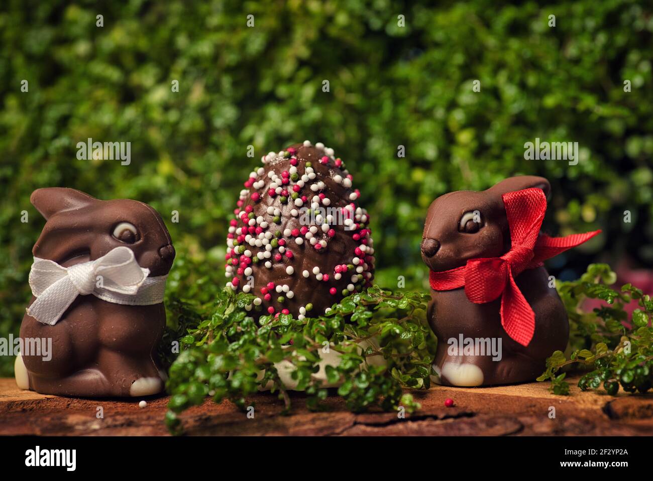 Chocolats œufs de Pâques avec lapin et bonbons à l'œuf sur un table en bois dans la cour avec plantes de printemps vertes dans l'arrière-plan Banque D'Images