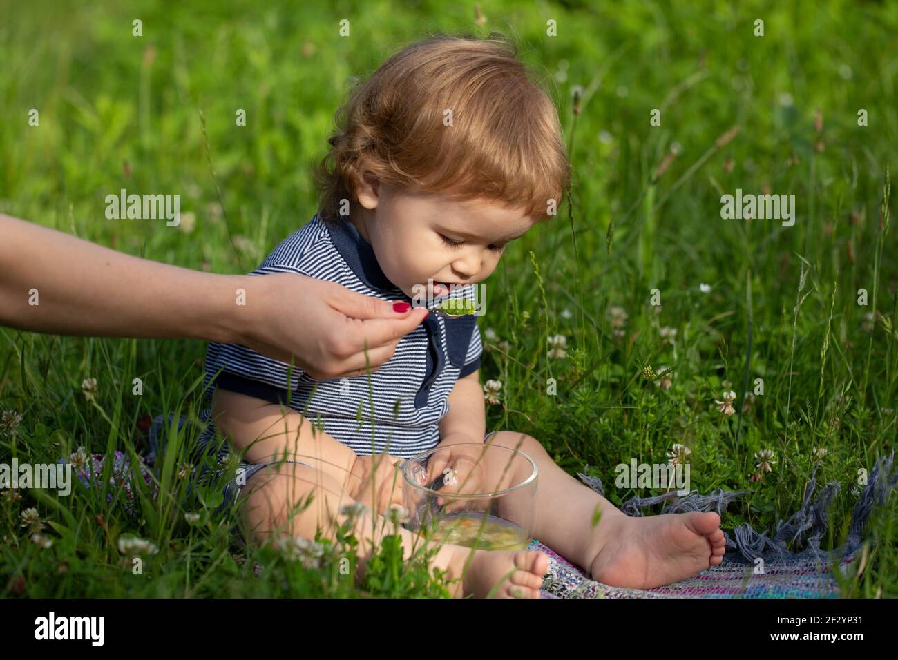 Ration D Ete Garde D Enfants Bonjour A La Ferme Les Meres Allaitent Bebe A La Main Avec Une Cuillere Le Petit Bebe Mignon Est Nourri Avec Une Cuillere Exterieure Sur Le Vert Photo Ration D Ete Garde D Enfants Bonjour A La Ferme Les Meres Allaitent Bebe A La Main Avec Une Cuillere Le Petit Bebe Mignon Est Nourri Avec Une Cuillere Exterieure Sur Le Vert Photo