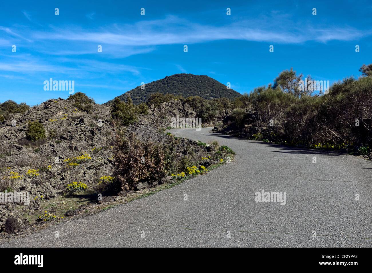 La route sinueuse en Sicile traverse le paysage volcanique de la vieille lave écoulement et vieux cône de volcan couvert d'arbres contre Ciel bleu dans le parc Etna Banque D'Images