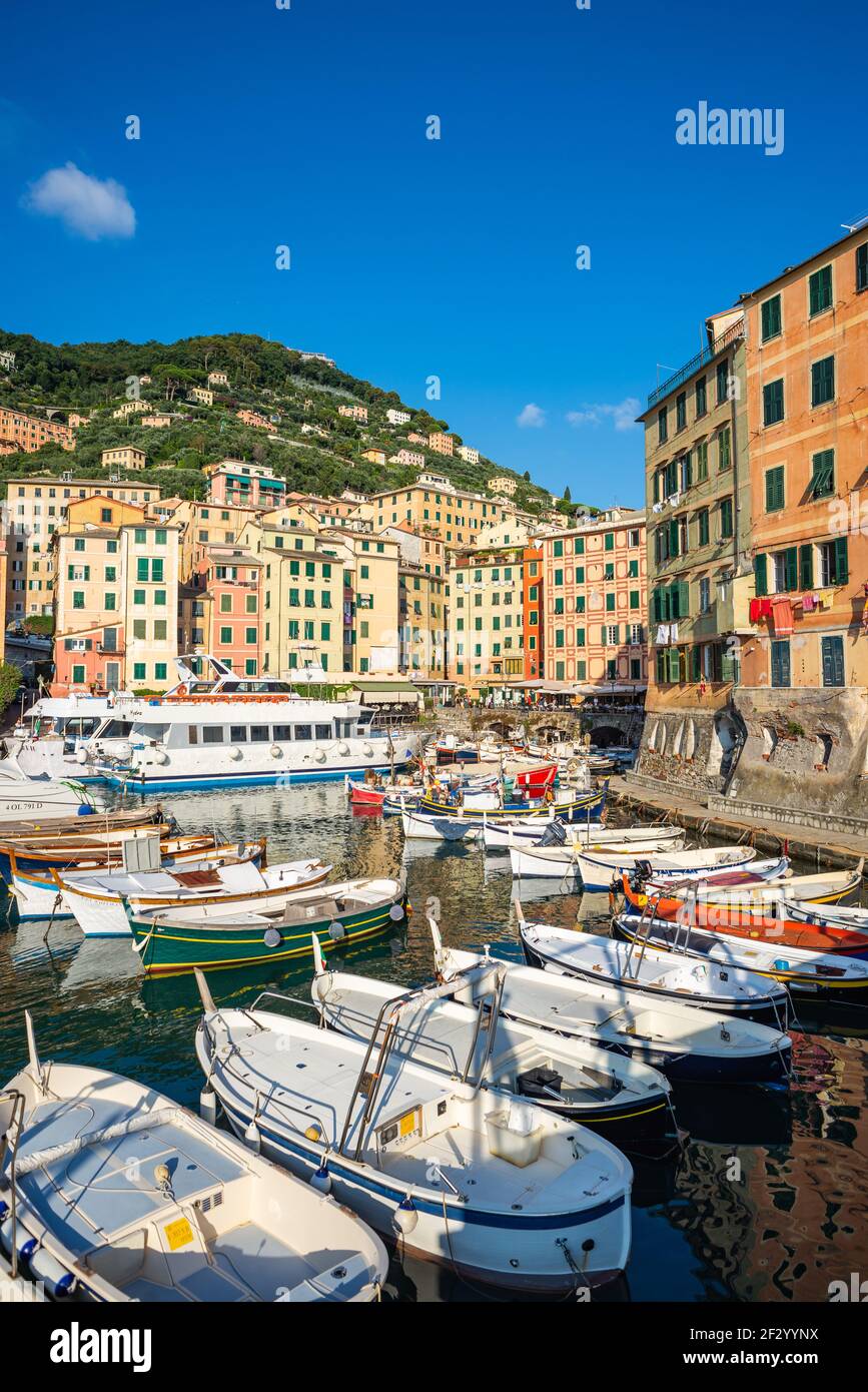 Le port est au coeur de la ville pittoresque de Camogli, dans la partie orientale de la Ligurie, en Italie. C'est un petit port bondé de bateaux traditionnels Banque D'Images