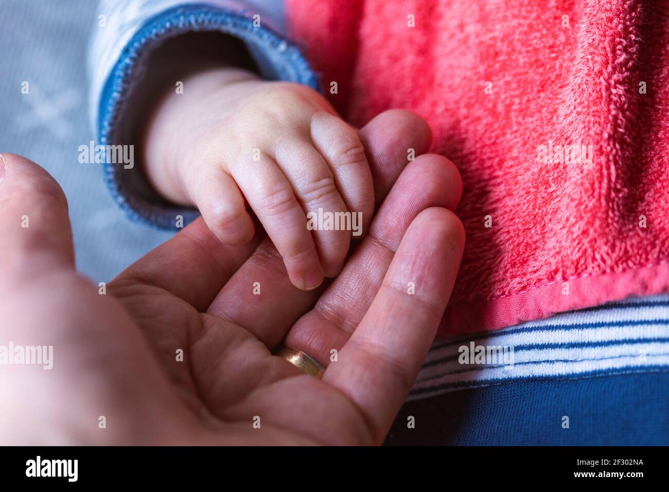 Un Portrait Rapproche De La Main D Un Pere Tenue Par La Petite Main De Bebe De Son Enfant Les Petits Doigts Mignons Sont Roppes Autour Des Doigts De T Photo Stock