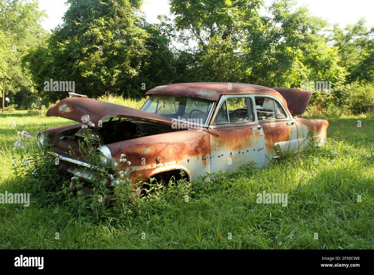 Ancien véhicule classique Ford corrodé abandonné dans un champ. Banque D'Images