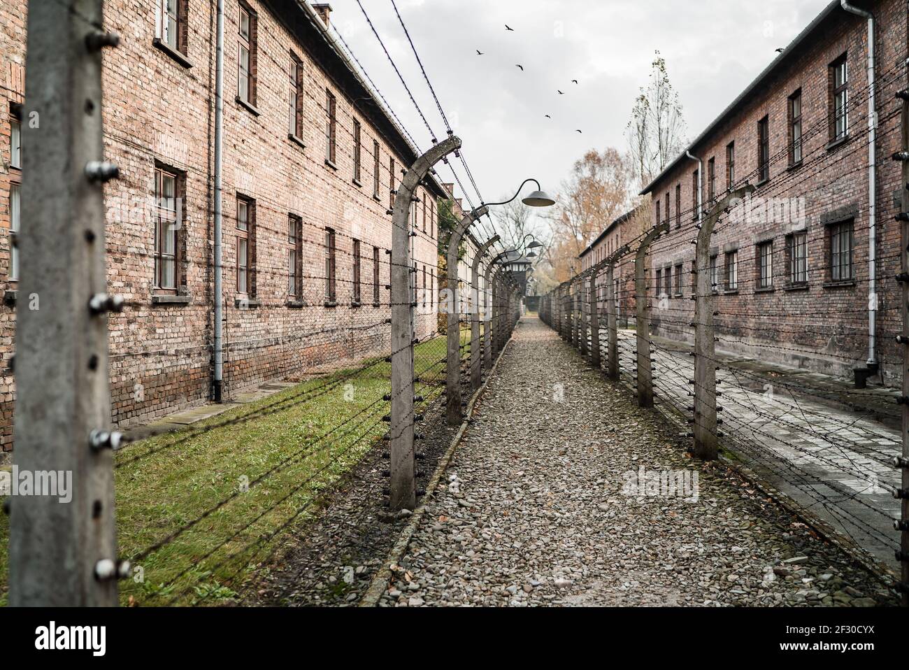 Auschwitz concentration et extermination Camp musée Pologne caserne en brique rouge clôture électrique en barbelés d'oiseaux pour retenir les prisonniers juifs non terre du mans Banque D'Images