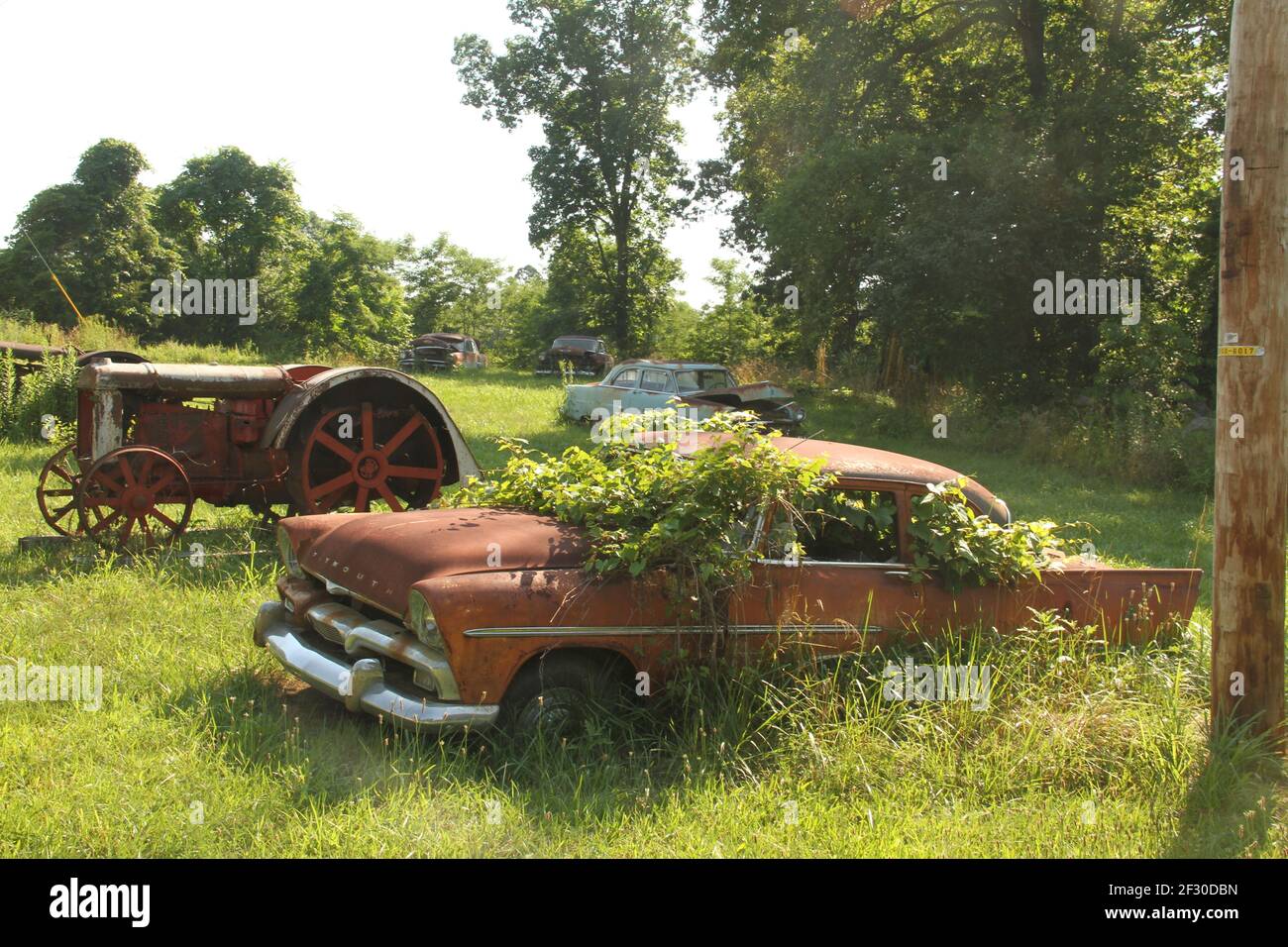 Véhicules abandonnés et corrodés sur un terrain aux États-Unis Banque D'Images