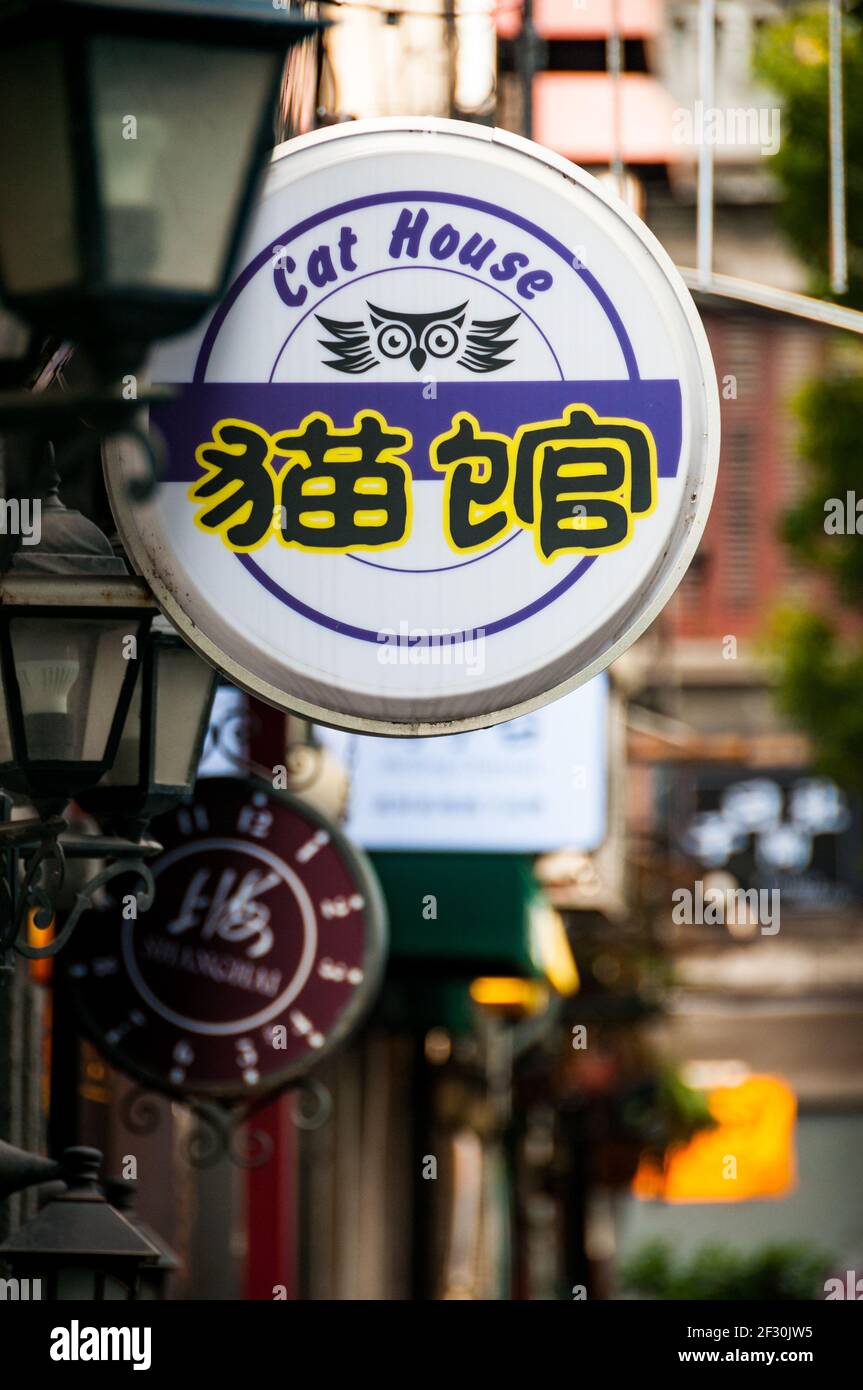 Une rangée de panneaux de magasins à Tianzifang à Shanghai. Huangpu District, Shanghai, Chine, Asie. Banque D'Images