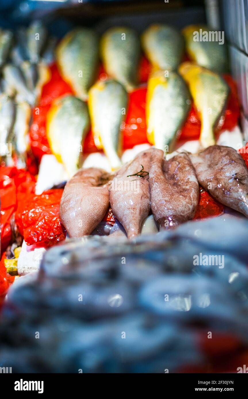 Calmar et poisson en vente sur le marché humide de Taikang Road, Huangpu District, Shanghai, Chine, Asie. Banque D'Images