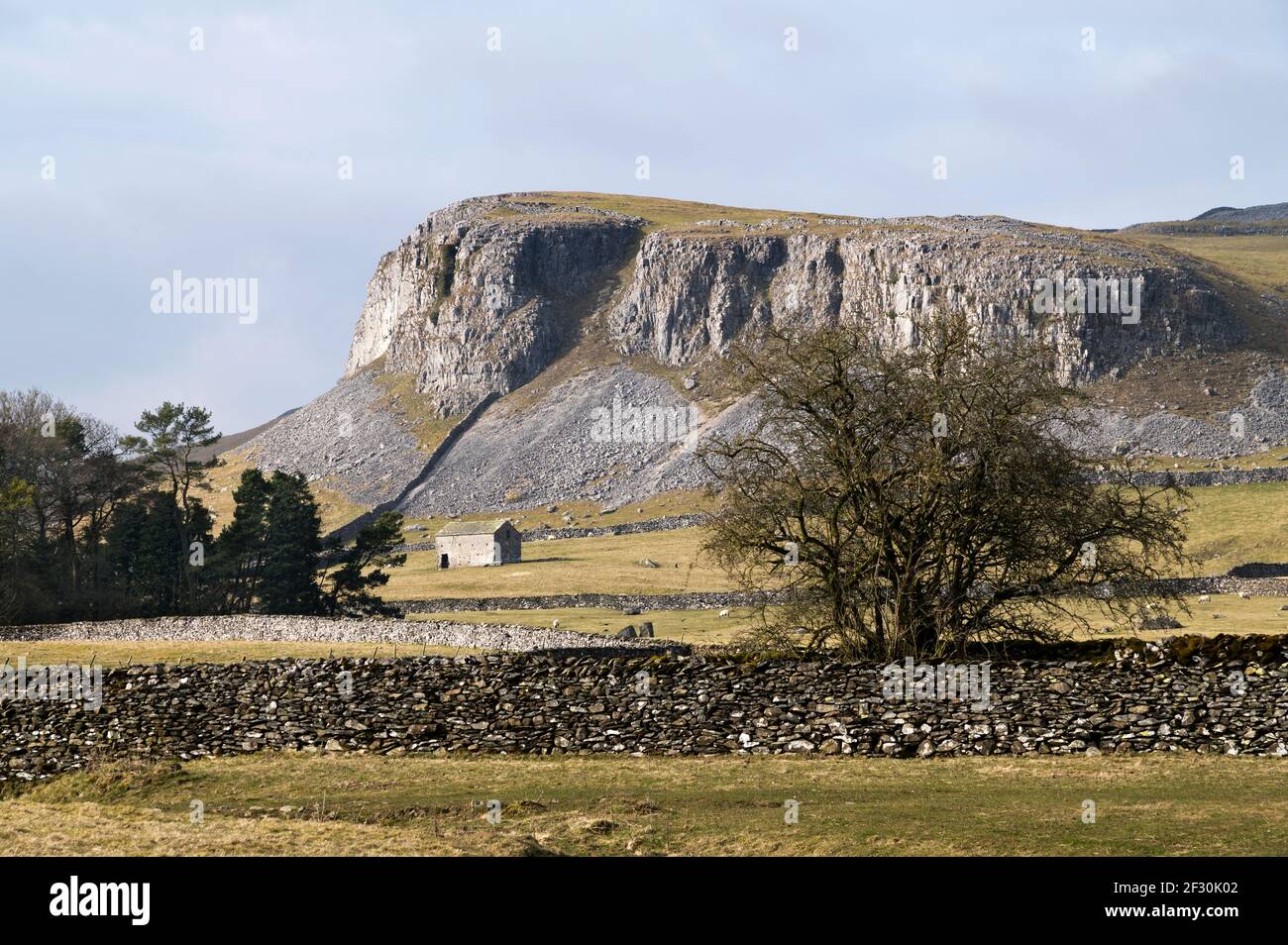 Robin Proctor's Stride, parc national de Yorkshire Dales, Royaume-Uni. Un crag calcaire près d'Austwick. Banque D'Images