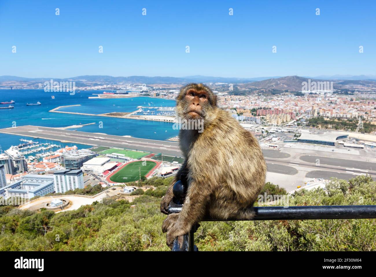 Gibraltar - 29 juillet 2018 : aéroport de Gibraltar (GIB) avec singe à Gibraltar. Banque D'Images