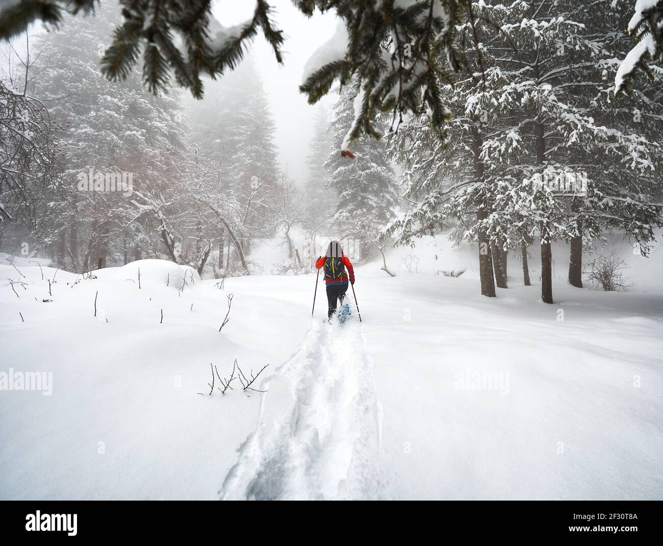 Une femme portant des chaussures d'exposition marche dans la forêt enneigée d'hiver à Almaty, au Kazakhstan Banque D'Images