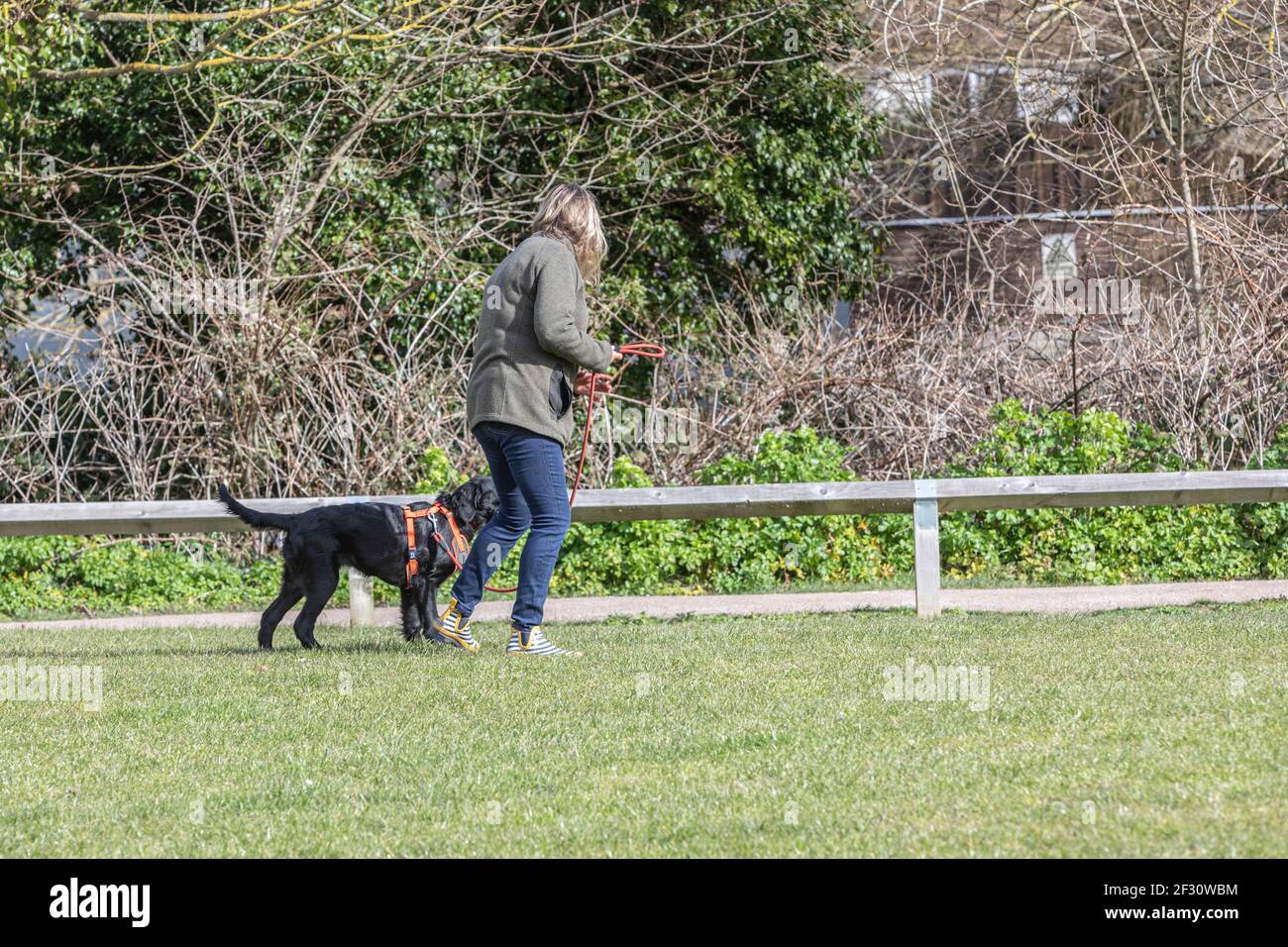 Une dame marchant son chien sur l'herbe près d'un sentier Banque D'Images