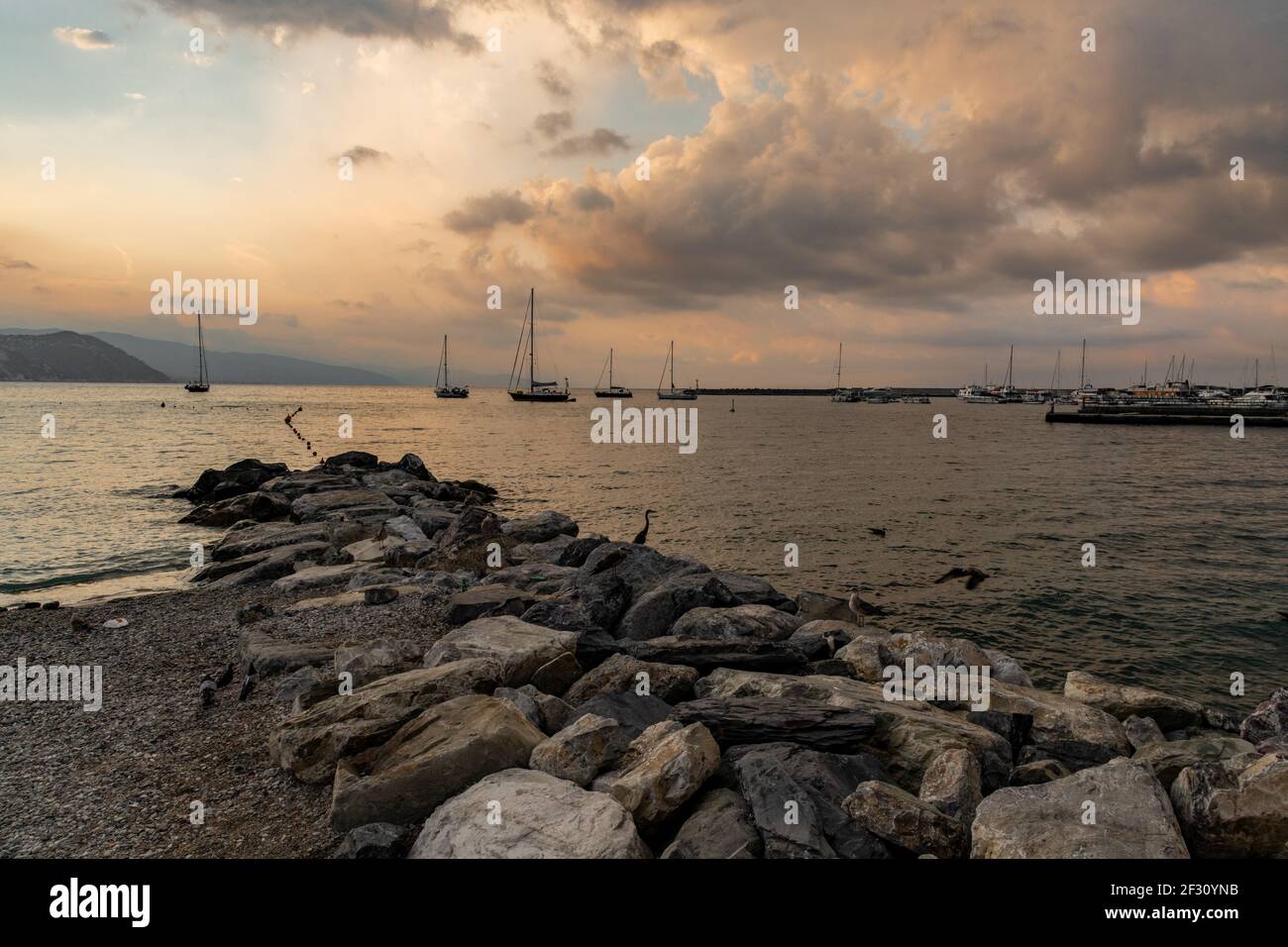 Coucher du soleil sur la côte Banque D'Images