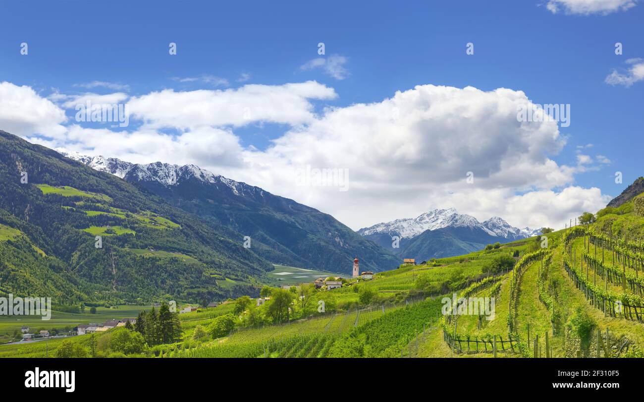 Magnifique panorama du Tyrol du Sud dans le Vinschgau avec vergers de pommiers. Banque D'Images