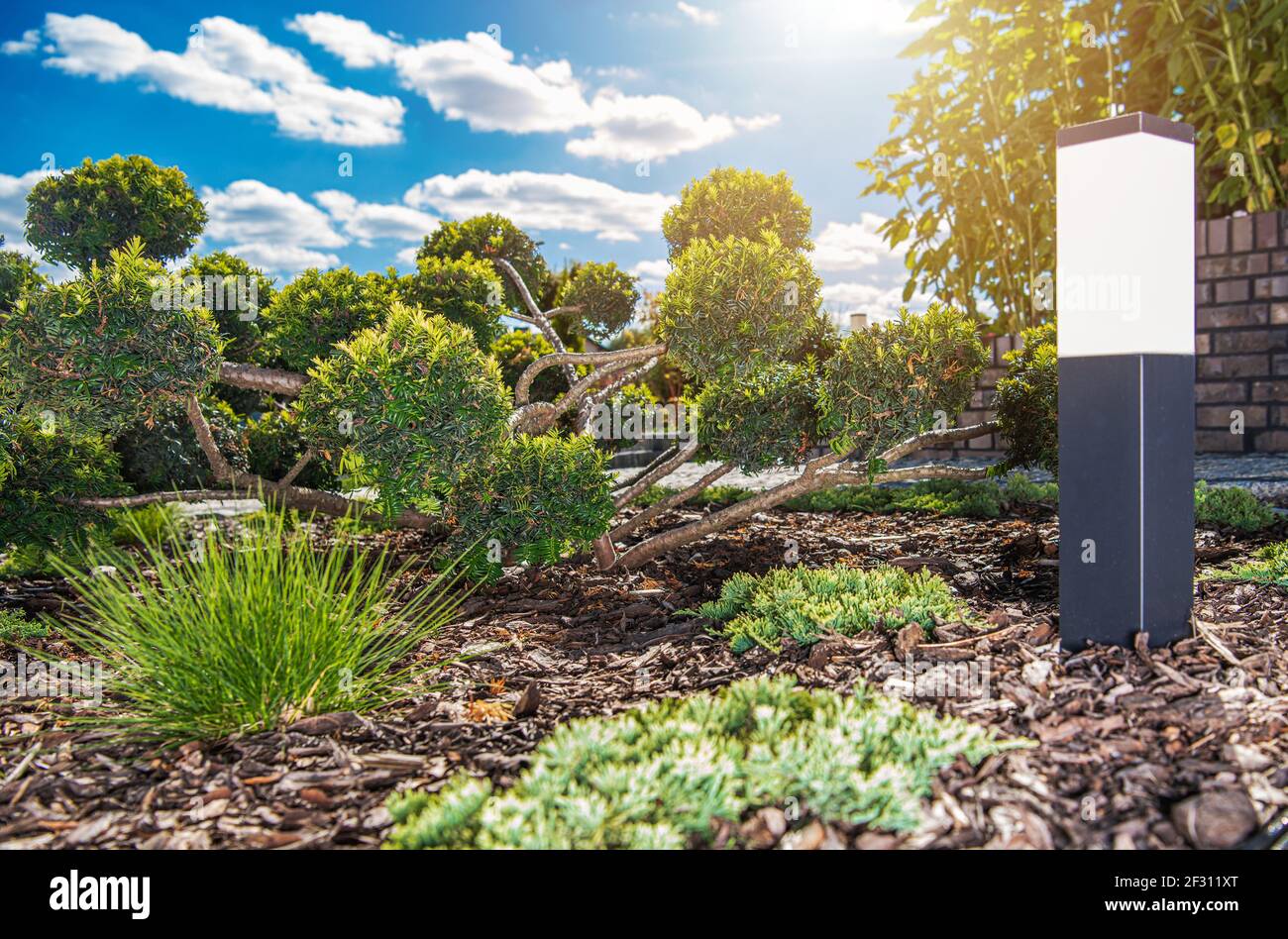 Technologie d'éclairage de jardin d'arrière-cour. Partie de beau jardin et élégant et moderne pôle lumière LED carrée entre les plantes. Banque D'Images