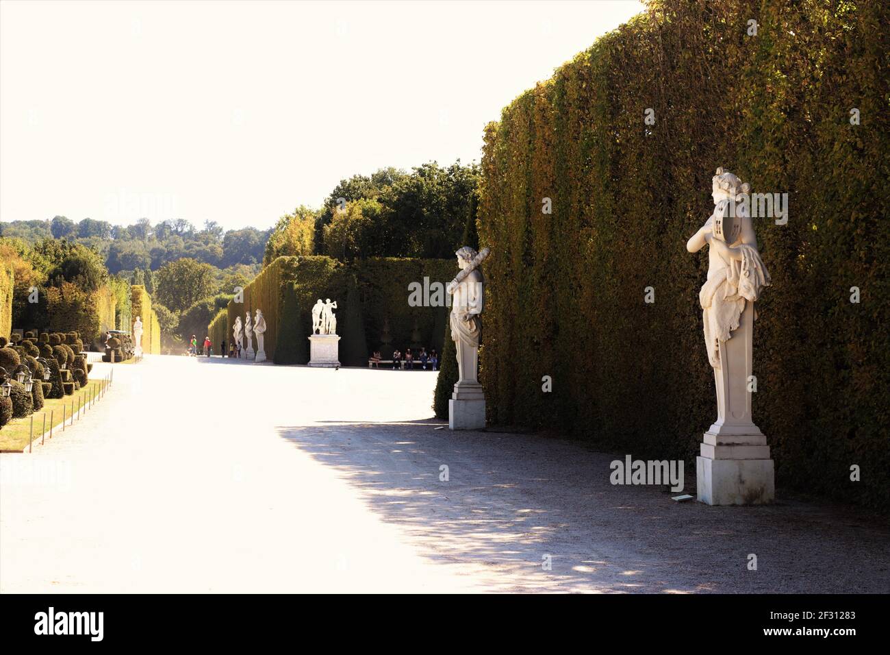Promenade dans les jardins de Versailles, France Banque D'Images