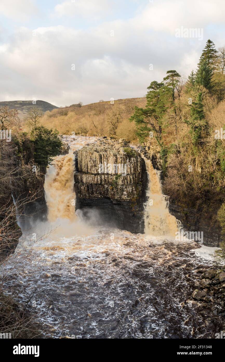 Vue d'hiver de la chute d'eau High Force après une forte pluie, River Tees, Co. Durham, Angleterre, Royaume-Uni Banque D'Images