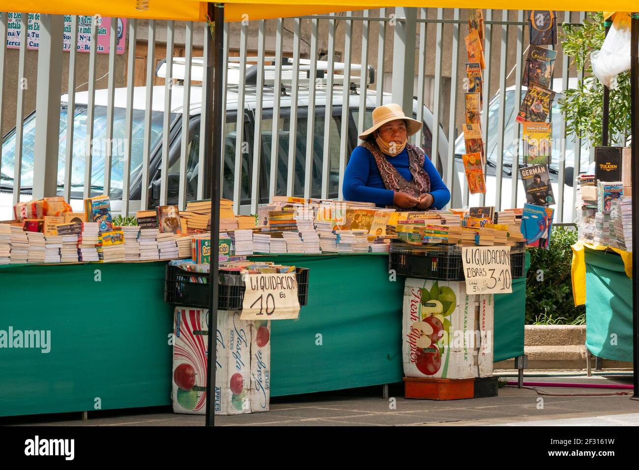 El Alto, la Paz, Bolivie - février 11 2021: Femme autochtone bolivienne vendant des livres piratés dans la rue Banque D'Images