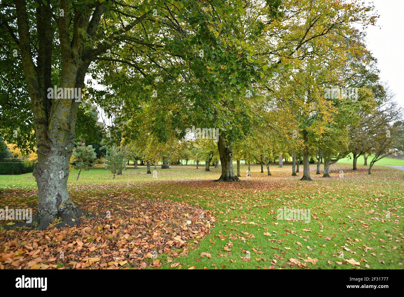 Paysage d'automne avec vue panoramique sur le château de Kilkenny entourant les jardins dans le comté de Kilkenny, Leinster Irlande. Banque D'Images