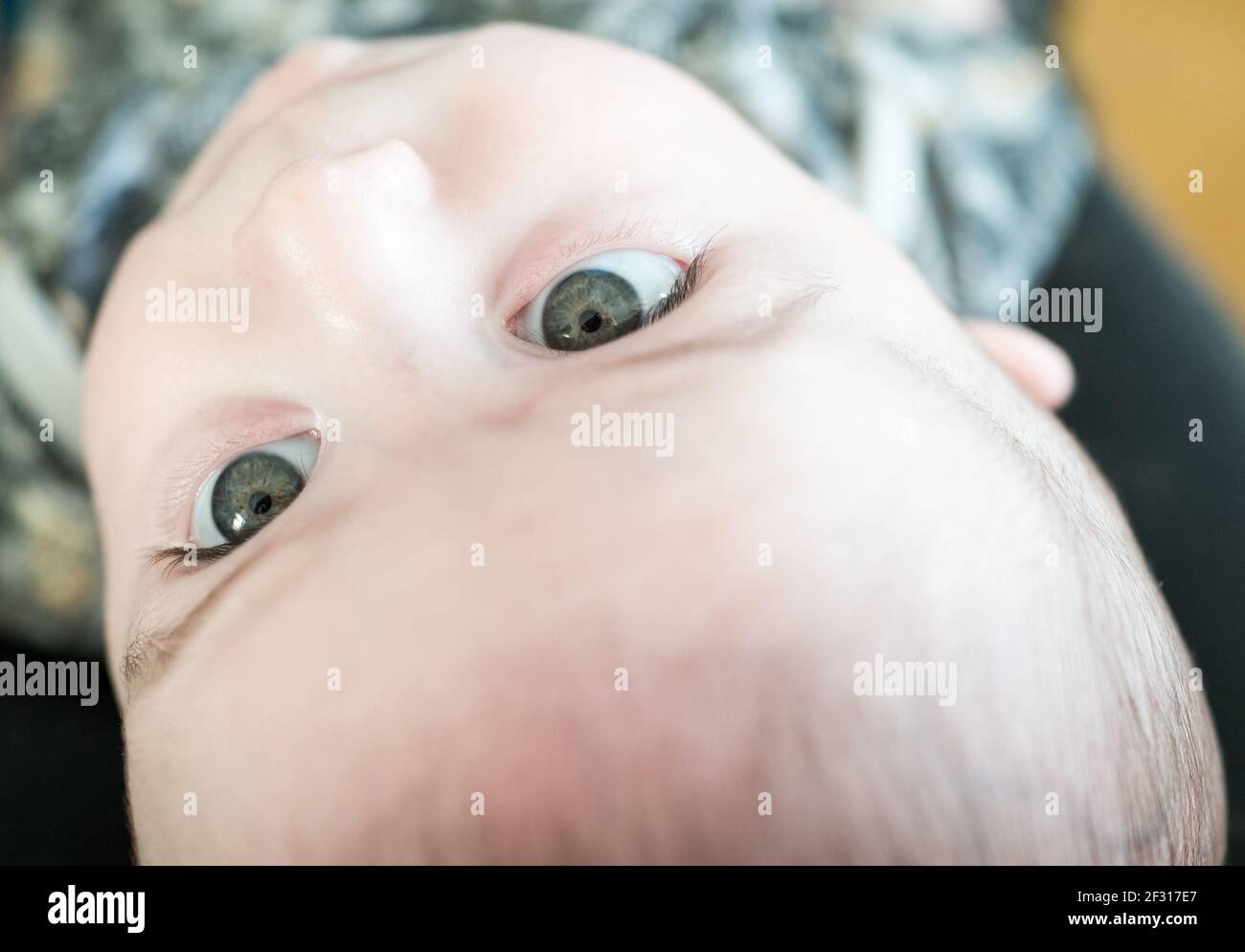 Gros Plan De Petit Bebe Mignon Avec Les Yeux Verts Eleve Photo De Qualite Photo Stock Alamy