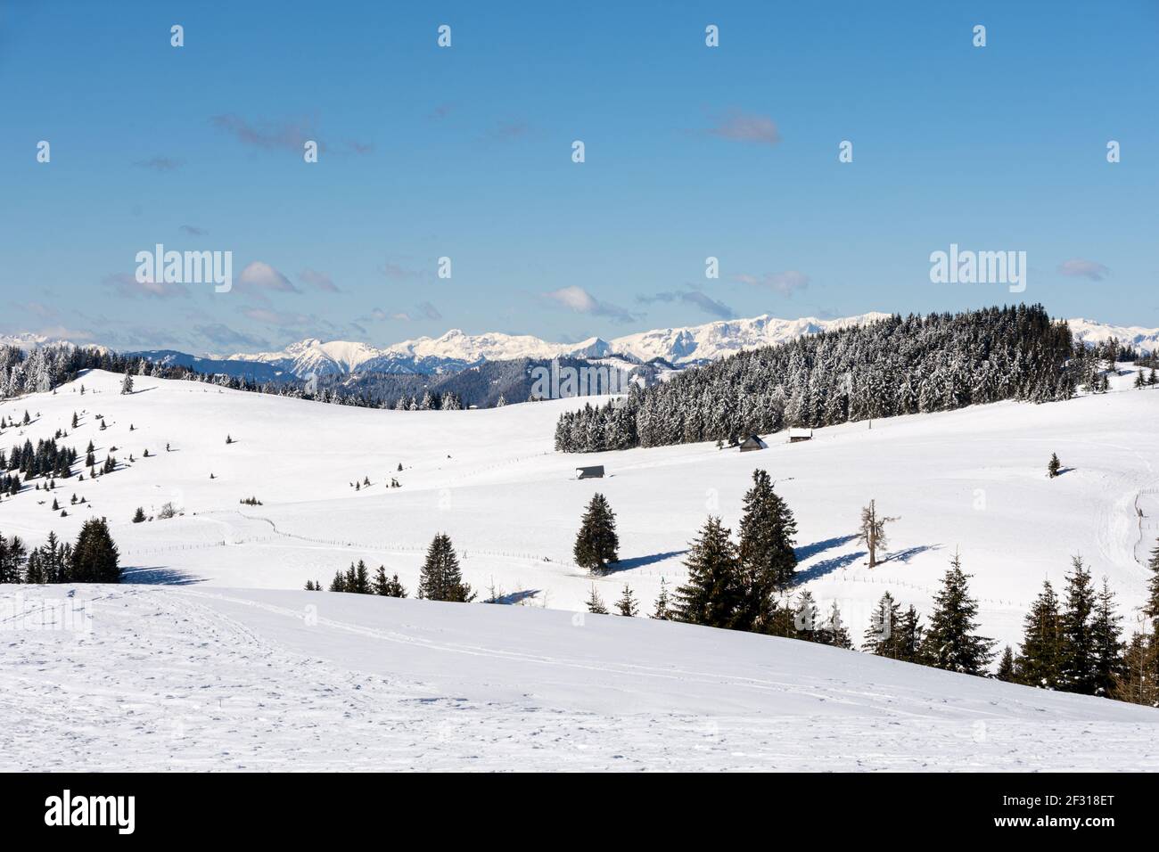 Sommeralm en Autriche pendant l'hiver Banque D'Images