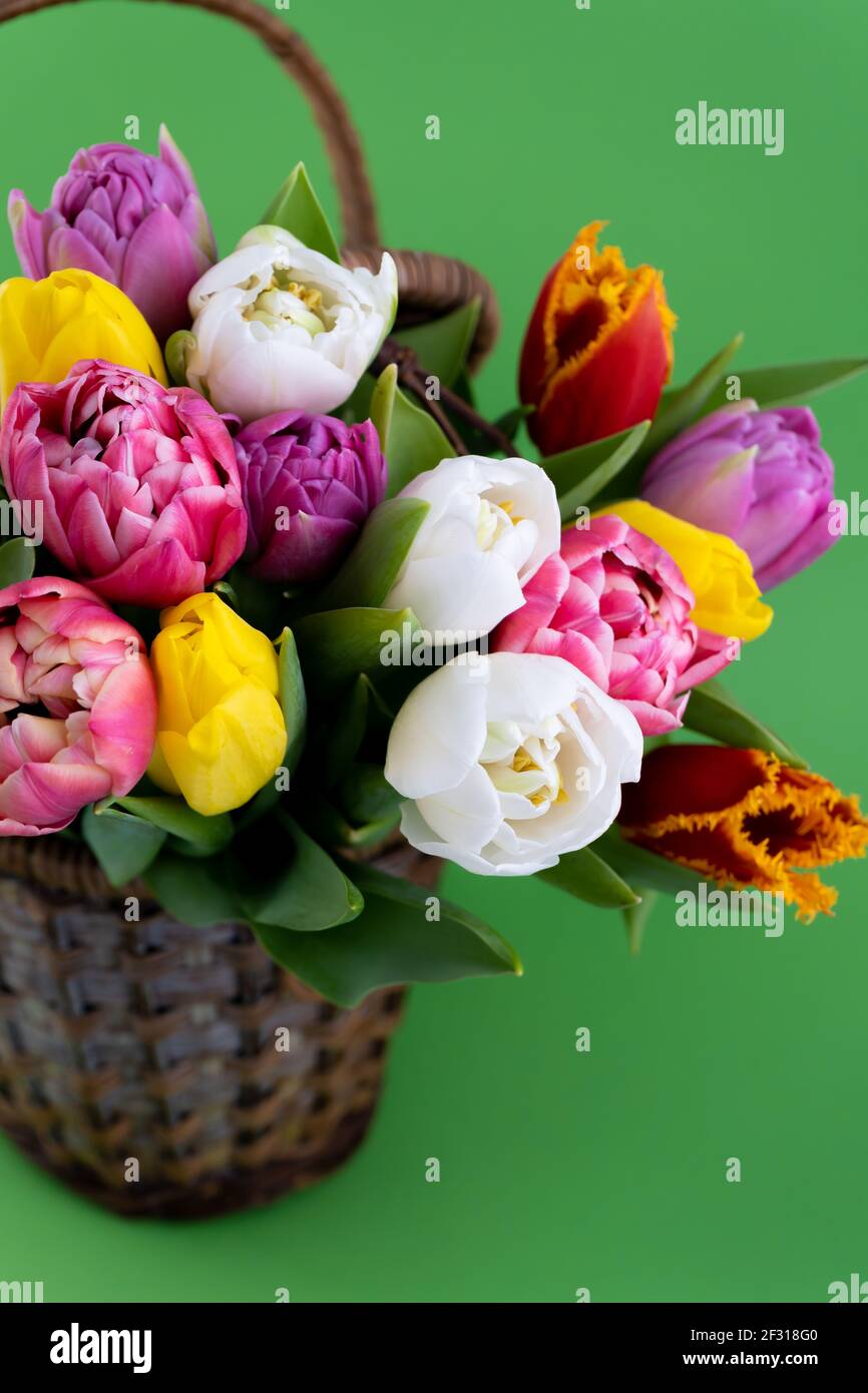 Bouquet de tulipes. Livraison de fleurs. Fond vert . Tulipe dans le panier. Copier l'espace. Banque D'Images