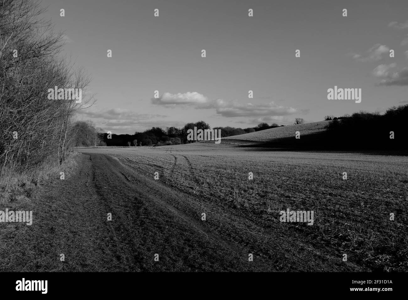 Vue panoramique sur le grand champ de Newport Essex en attente de l'affichage du recadrage en noir et blanc Banque D'Images