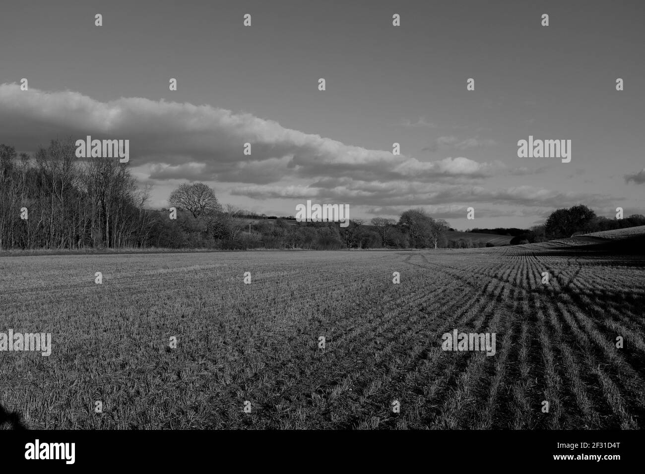 Vue panoramique sur le grand champ de Newport Essex en attente de l'affichage du recadrage en noir et blanc Banque D'Images