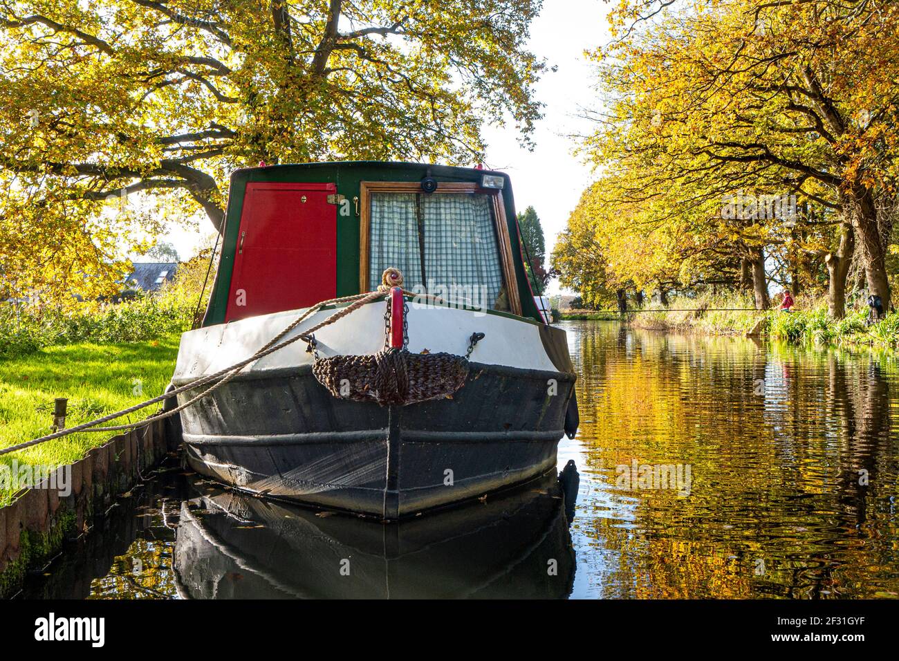 RIVIÈRE WEY AUTOMNE bateau à rames amarré sur la rivière Wey navigation En amont de l'écluse de Papercourt avec pêcheur à la ligne derrière en automne Surrey Angleterre Royaume-Uni Banque D'Images