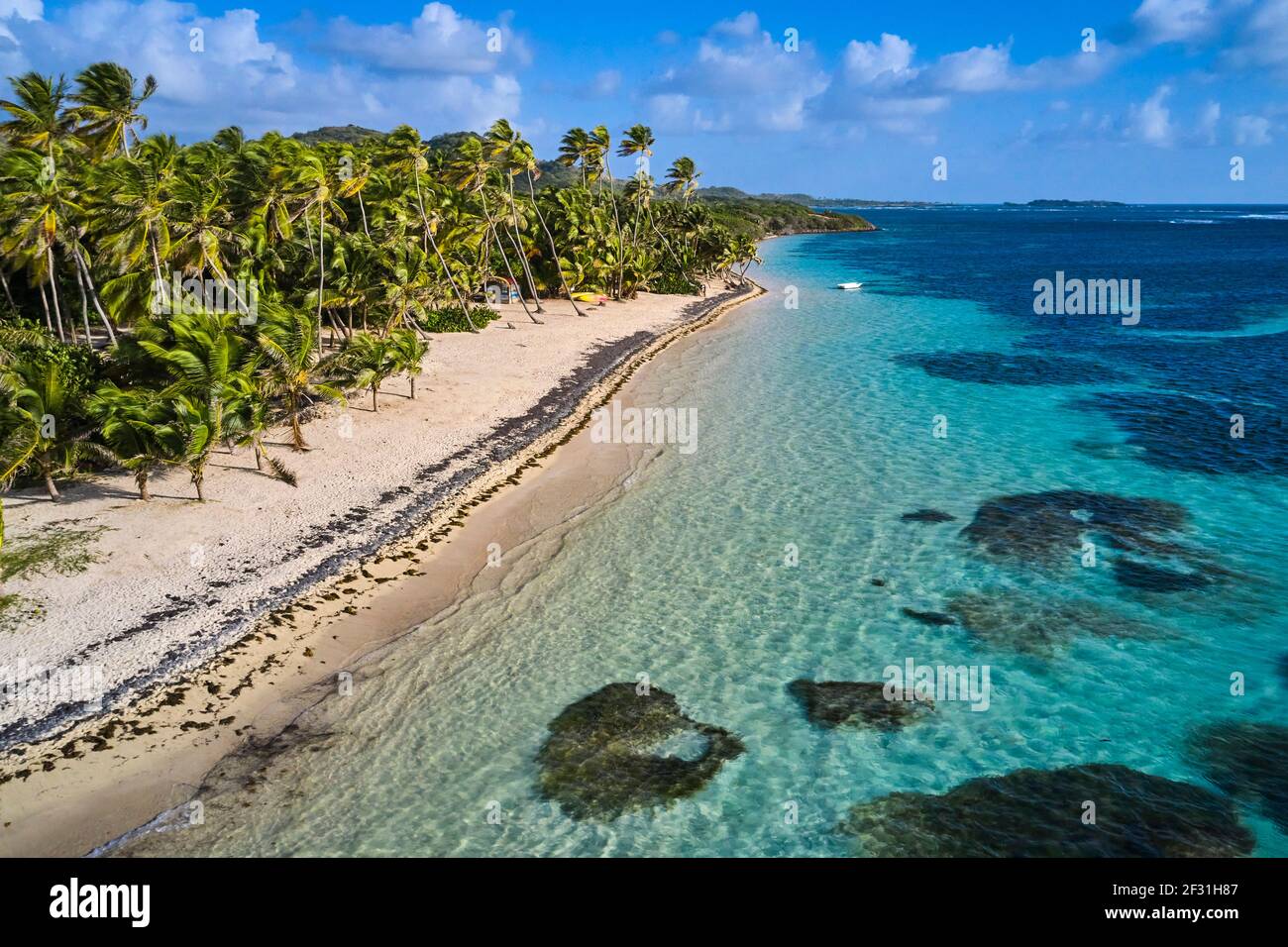 France, Antilles, Martinique, Sainte-Anne, Cap Chevalier, La plage de  l'Anse Michèle Photo Stock - Alamy