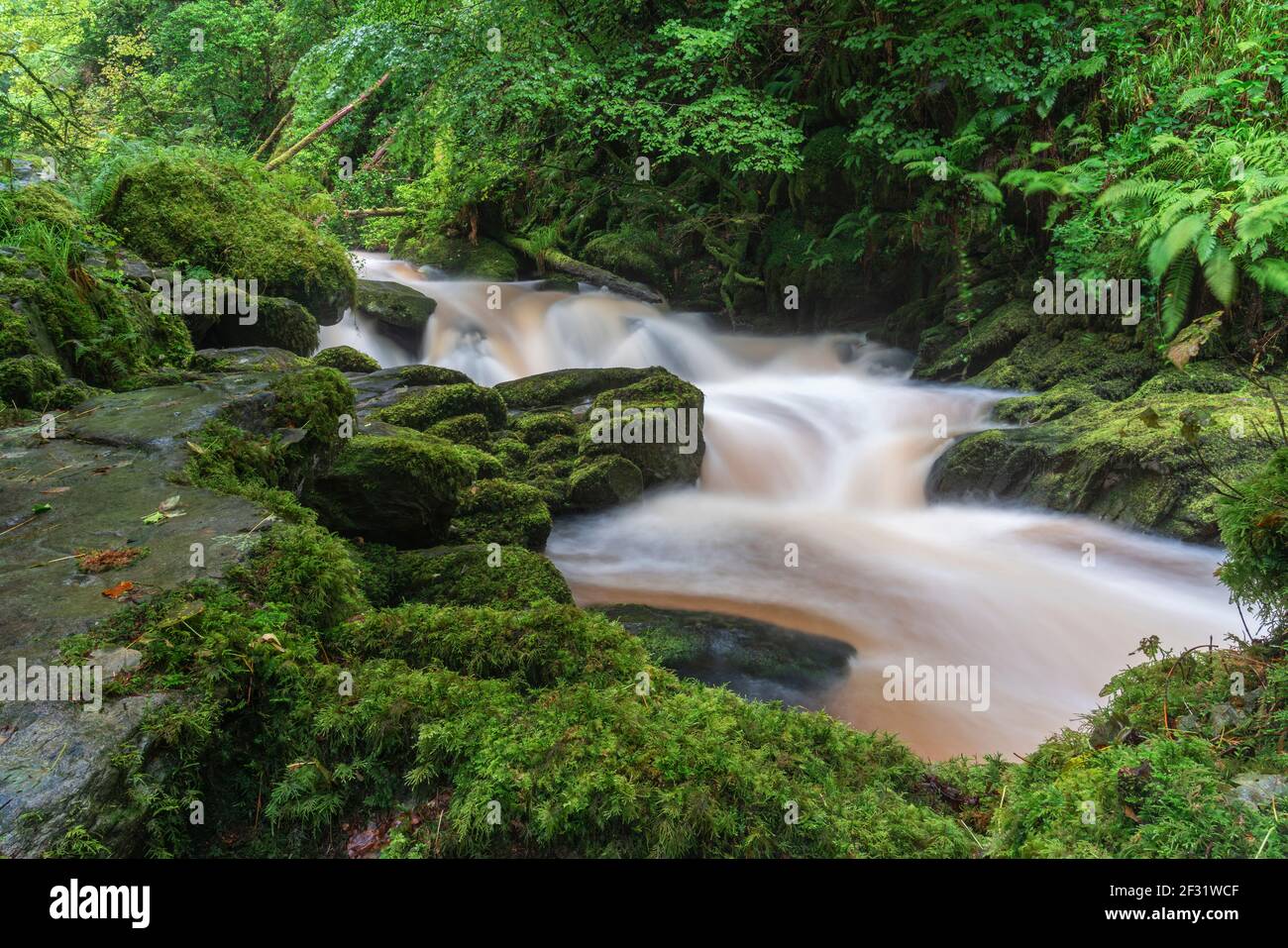 Torc Waterfall Banque D'Images
