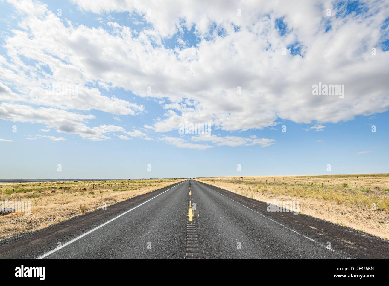 Une route droite de Blacktop allant à un point de fuite Dans un pays ouvert et plat de l'est de l'État de Washington en panne nuages blancs et herbe sèche Banque D'Images