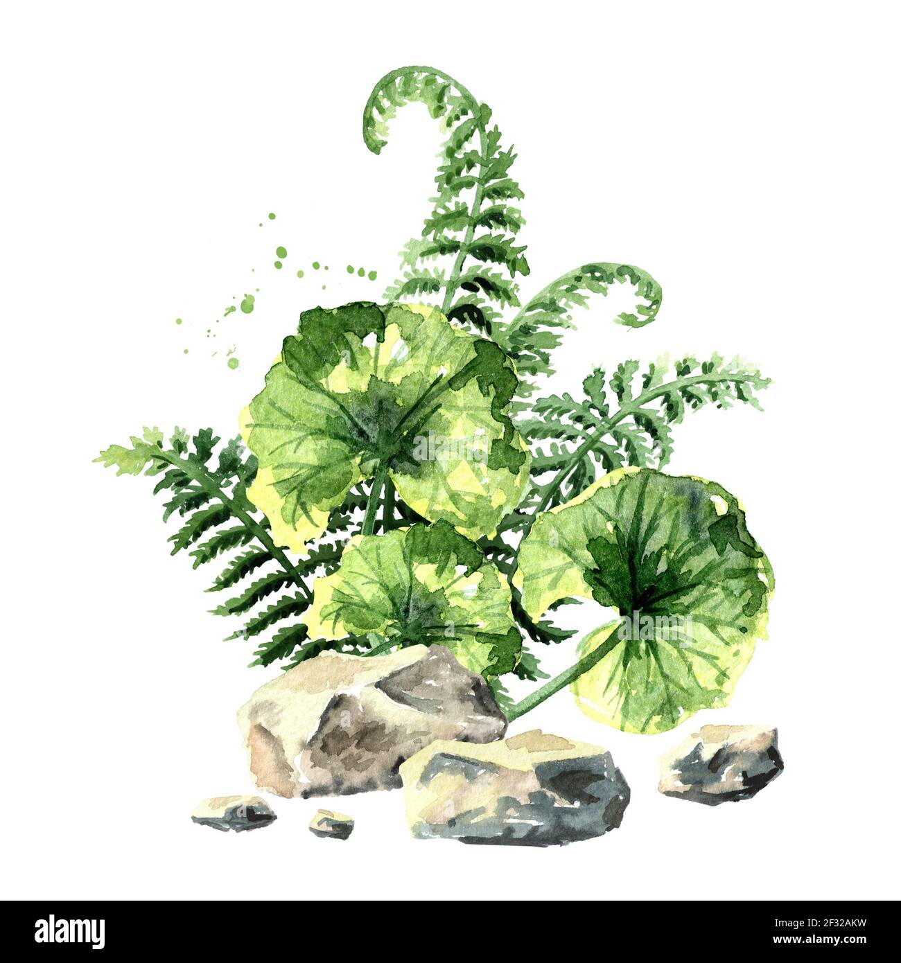 Composition des plantes préhistoriques. Illustration aquarelle dessinée à la main, isolée sur fond blanc Banque D'Images