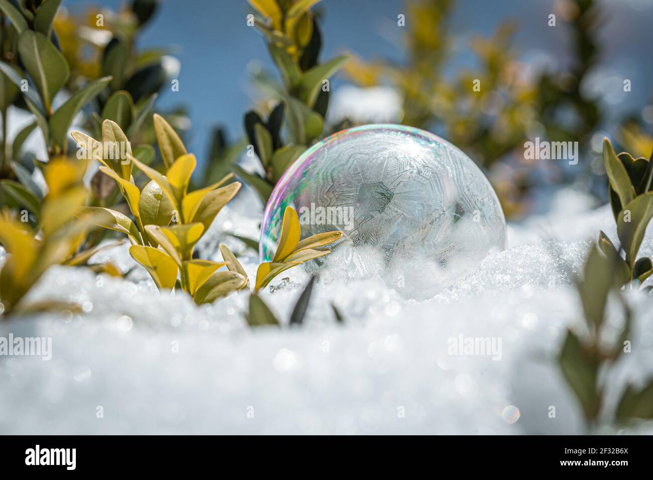 Bulle de savon surgelé avec un joli motif sur la neige gros plan sur un arrière-plan flou Banque D'Images