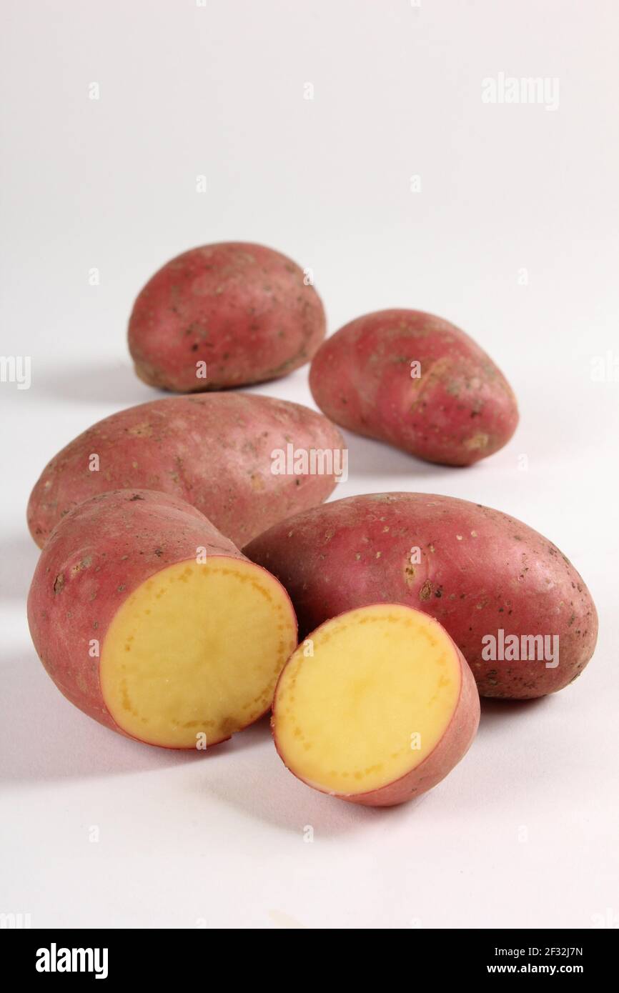 Pommes de terre rouges (Solanum tuberosum), variété Laura Banque D'Images