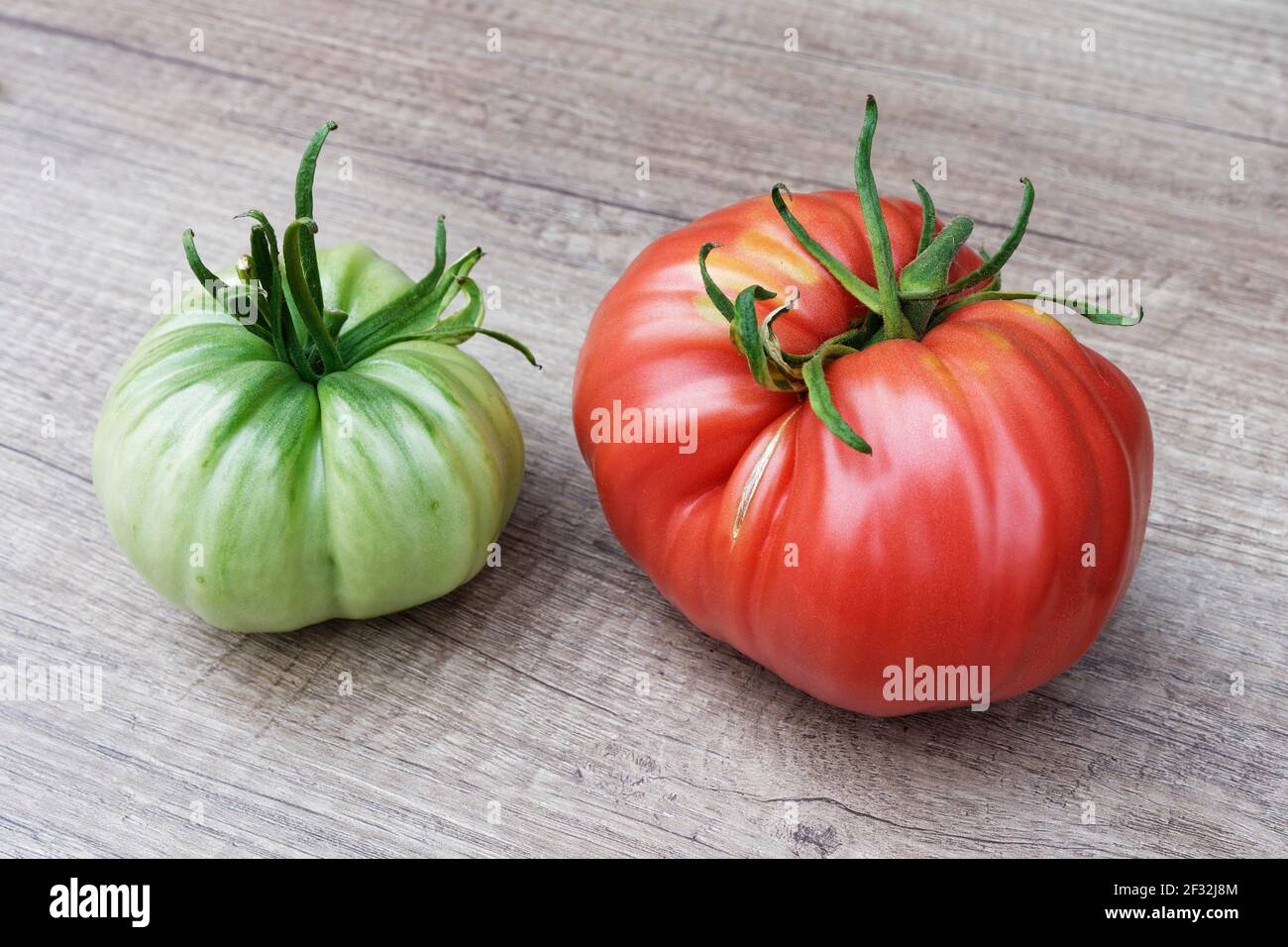 Tomate de bœuf (Solanum lycopersicum) Banque D'Images