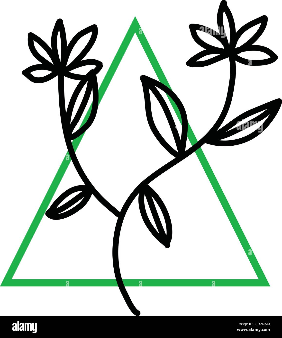 Deux fleurs avec cinq feuilles, illustration, vecteur sur fond blanc Illustration de Vecteur