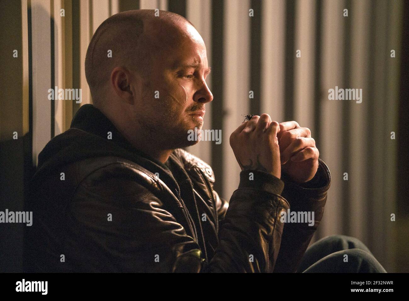 AARON PAUL, EL CAMINO : UN MAUVAIS FILM DÉCHIRANT, 2019, ©BEN ROTHSTEIN/NETFLIX Banque D'Images