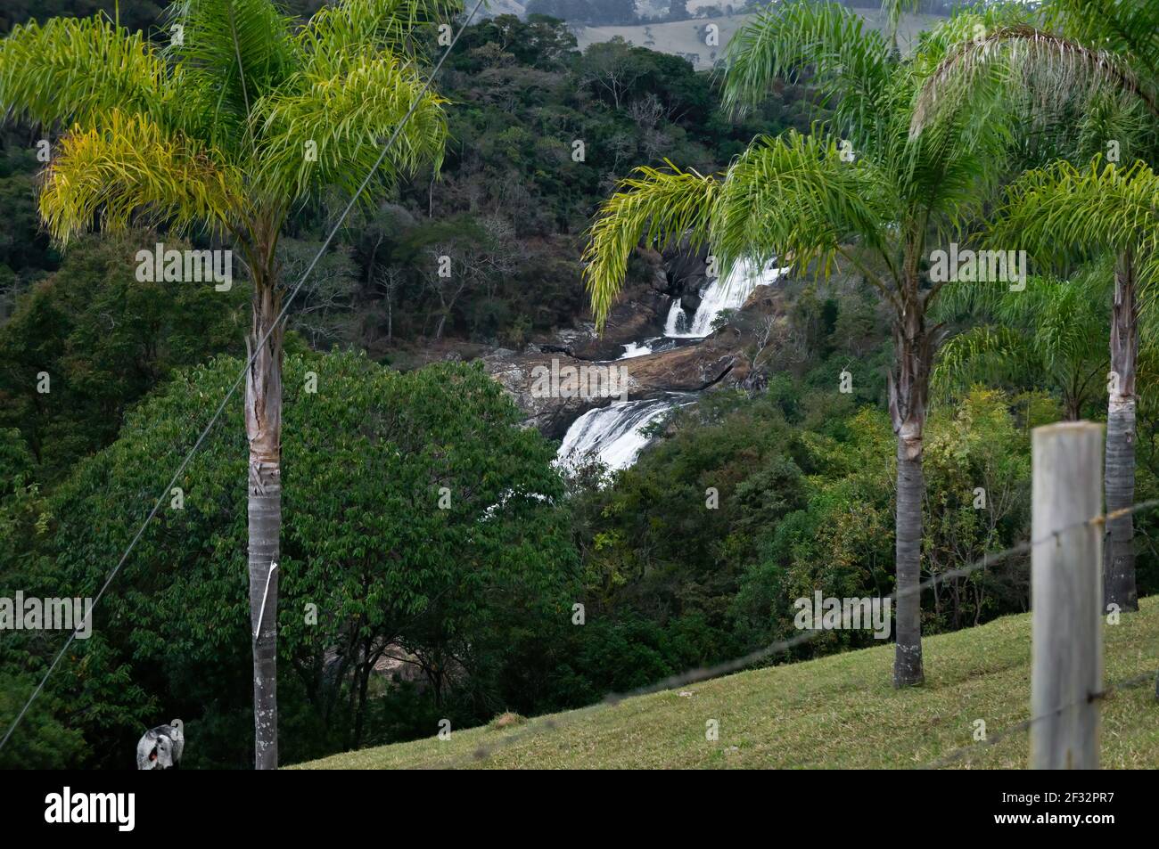 La végétation verte de la forêt de Sea Ridge (Serra do Mar) à proximité de la cascade de Pimenta dans la campagne de Cunha. Banque D'Images