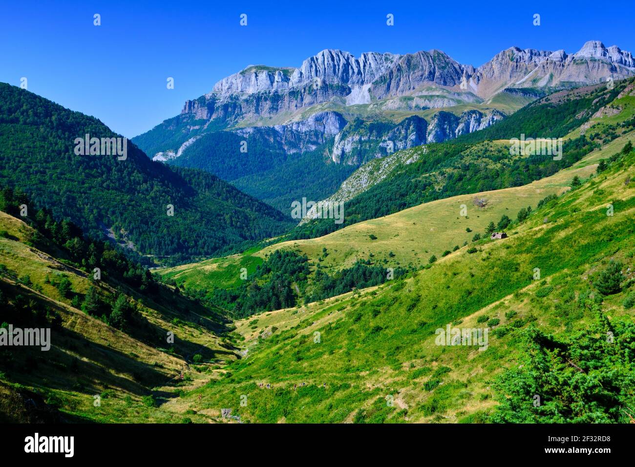 Vue sur les montagnes et les prairies. Banque D'Images