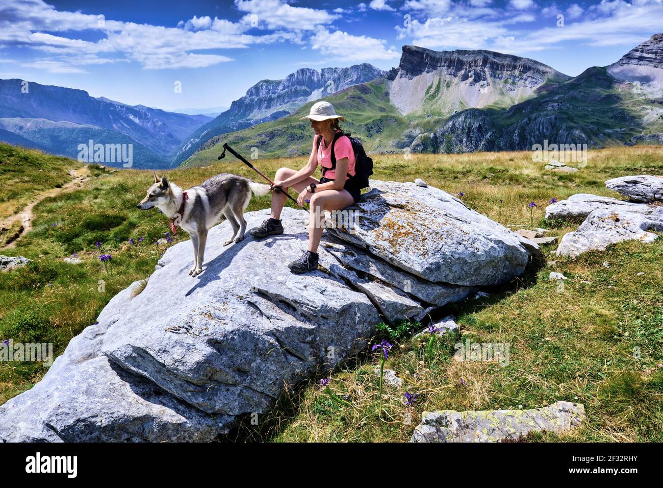 Femme de randonnée avec un chien dans un paysage de montagnes et de prairies. Banque D'Images