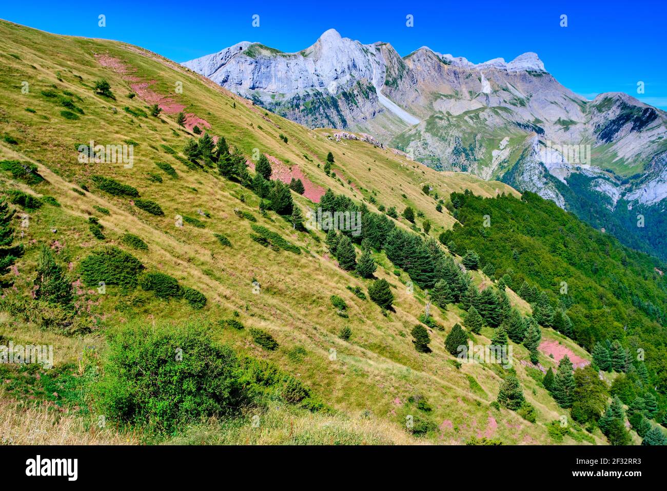 Vue sur les montagnes et les prairies. Banque D'Images