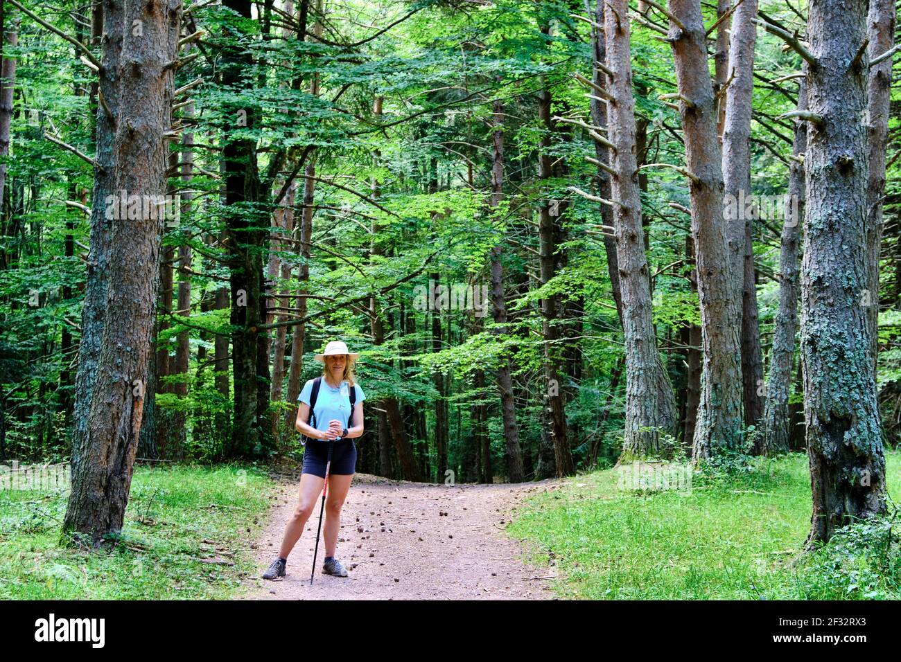 Femme de randonnée avec un chapeau dans un chemin dans un paysage forestier. Banque D'Images