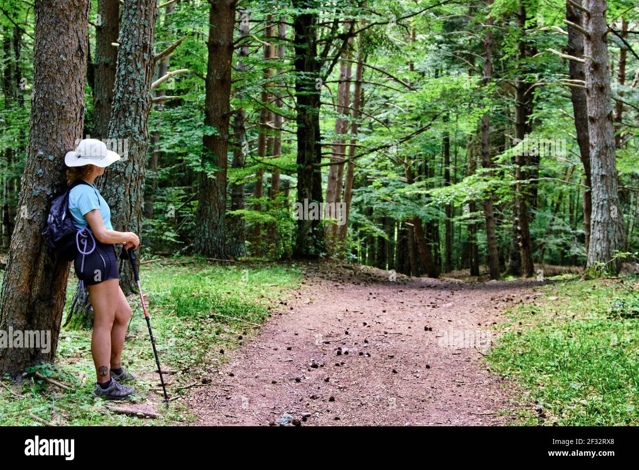 Femme de randonnée avec un chapeau dans un chemin dans un paysage forestier. Banque D'Images