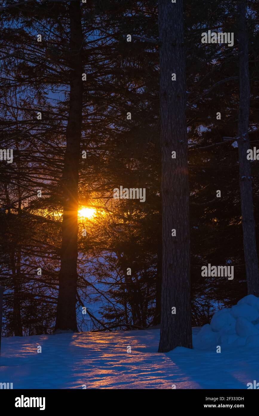 La chaleur du soleil lors d'une matinée d'hiver froide dans le nord du Wisconsin. Banque D'Images