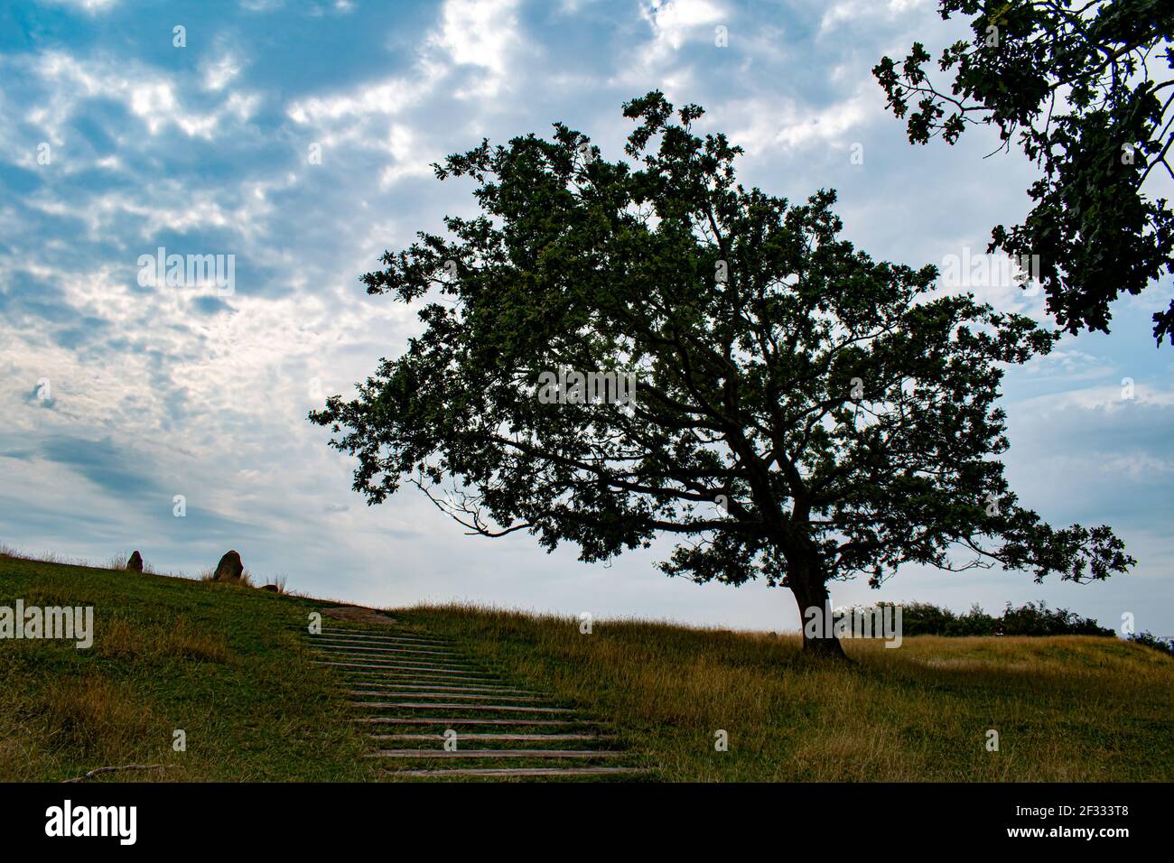 Monument à Lindholm Hoje parc viking et musée, Danemark Banque D'Images