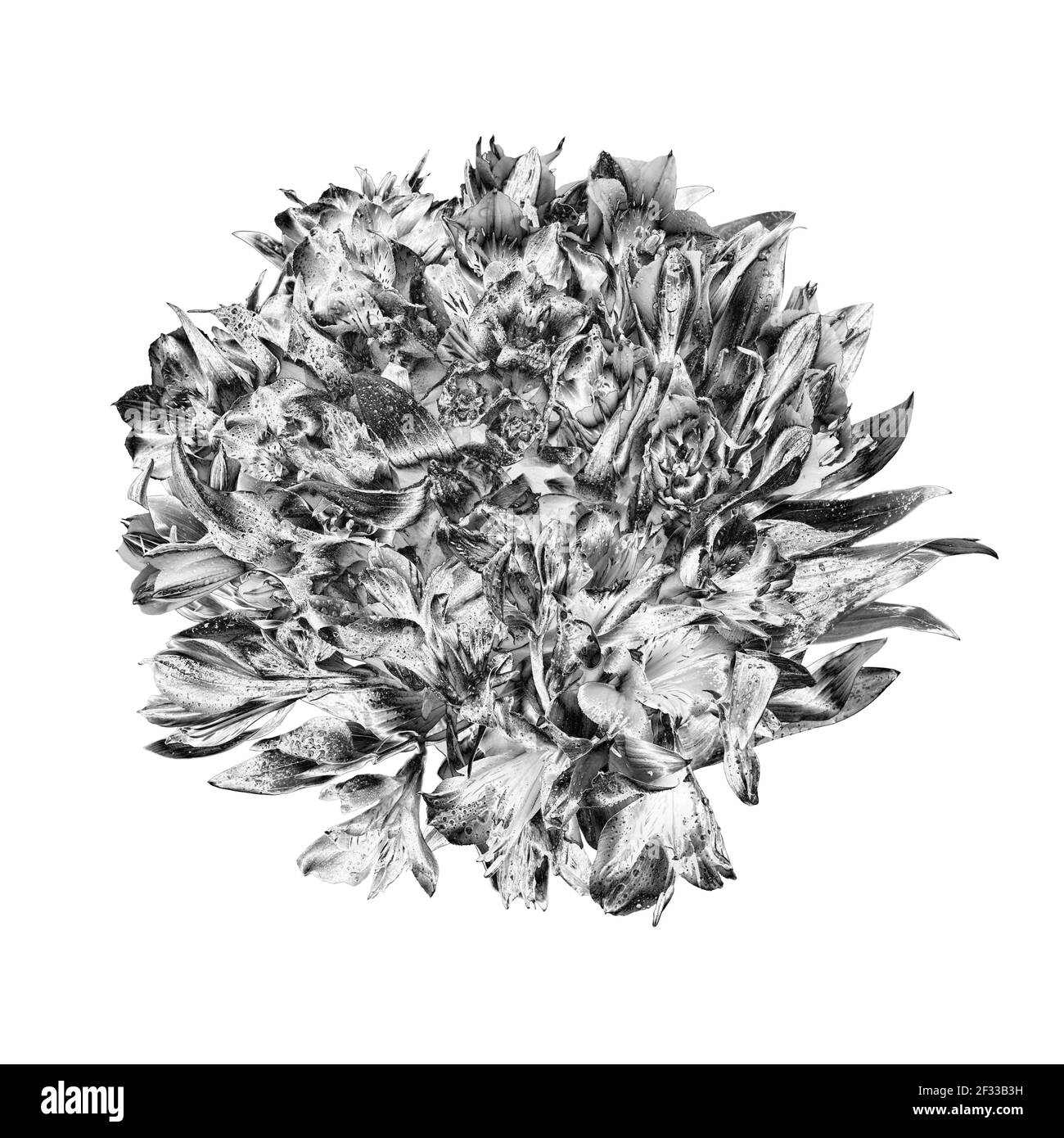Fleurs argentées bouquet rond blanc fond isolé gros plan, beau bouquet de fleurs noir blanc, feuilles de métal gris brillant, branche florale, décoration Banque D'Images