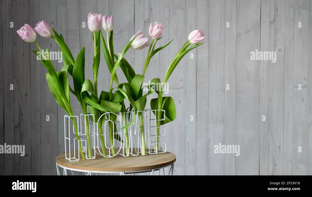 Fleurs roses tulipes hollandaises sur table basse à la maison près sur fond de bois blanc dans un cadre international ensoleillé journée des femmes ou fête des mères Banque D'Images