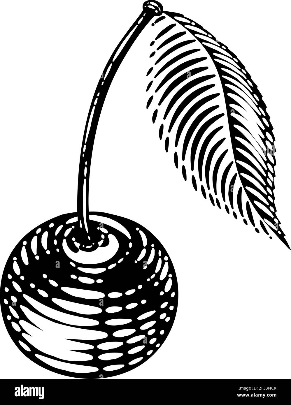 Illustration de la coupe de bois Vintage Cherry Berry Illustration de Vecteur